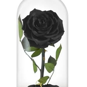 Black Preserved Rose in Glass Dome - Faux Floral Accent